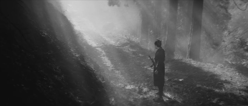 eleven samurai 3.jpg
